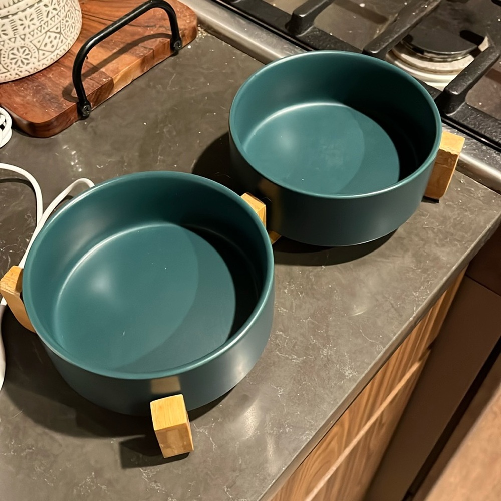 Ceramic dog/cat bowls